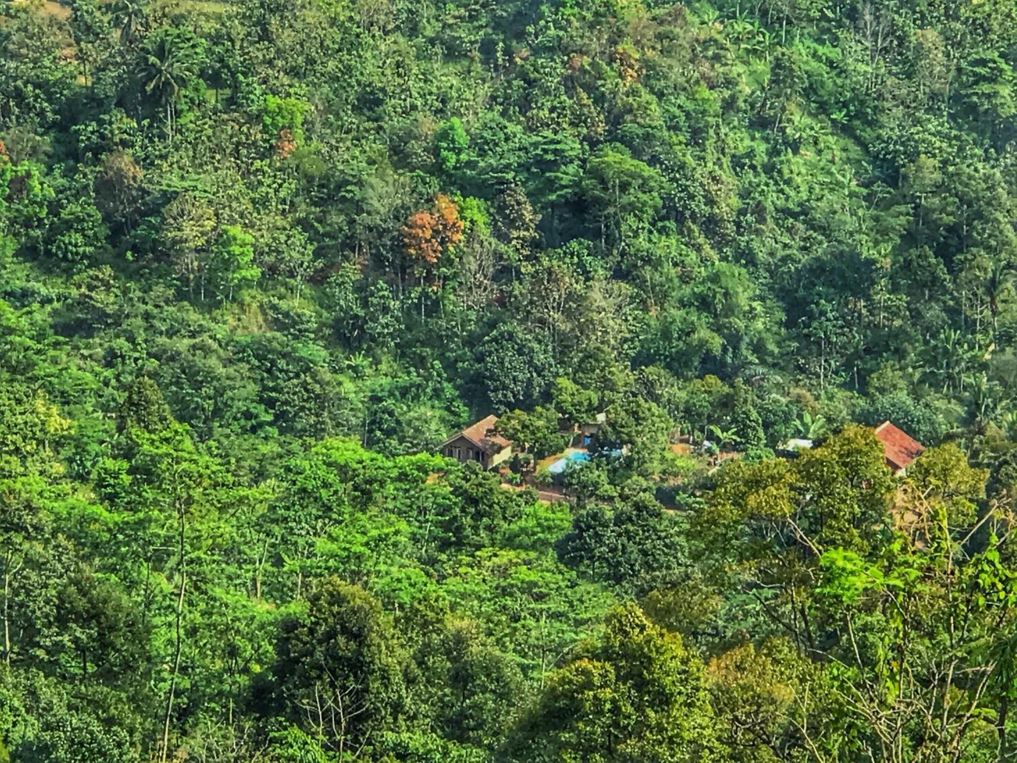 Farmstay Manangel Sindanglaka Extérieur photo